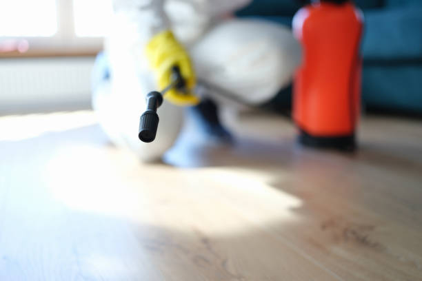 Best Mold Remediation for Healthcare Facilities  in Highland Acres, DE