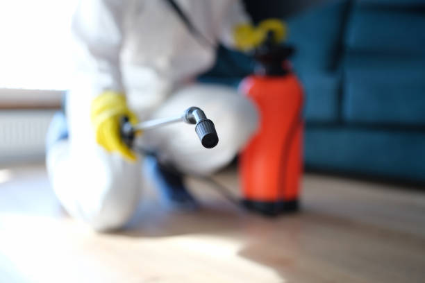 Best Post-Remediation Verification Testing  in Highland Acres, DE